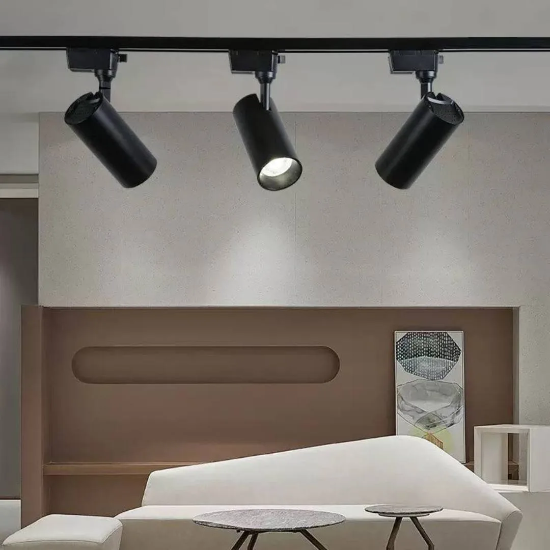 3in1 Track light 1