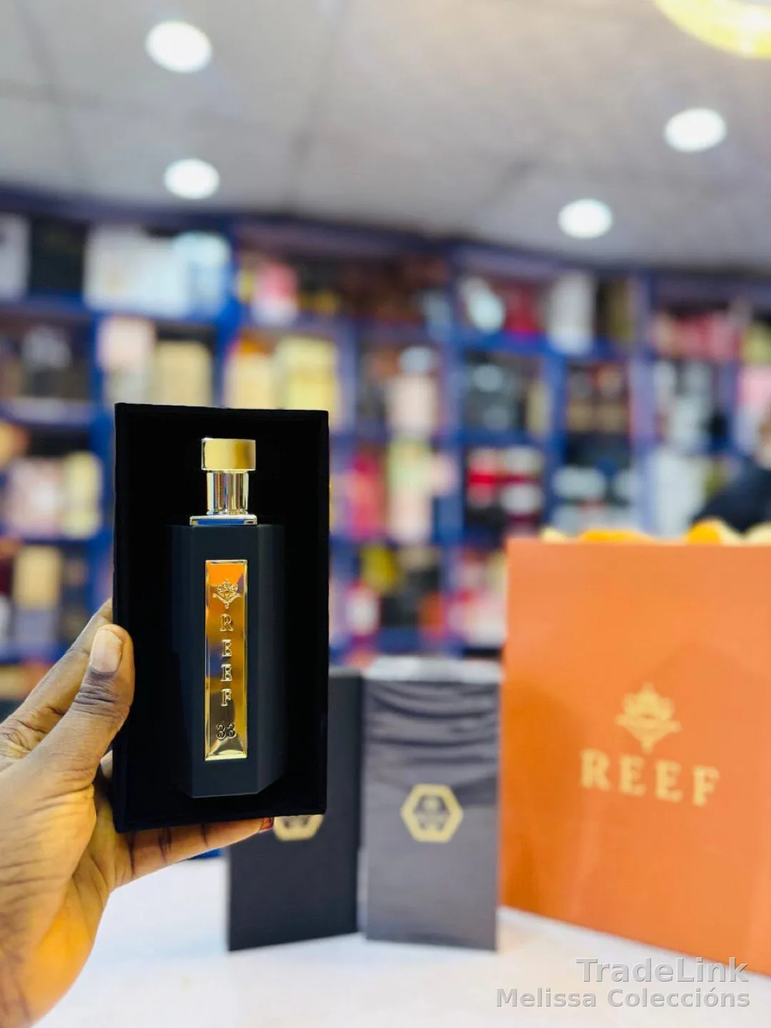 Reef 33